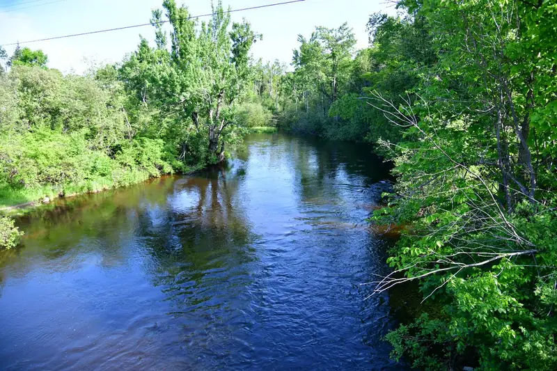 Black River near Milligan Vacation Homes